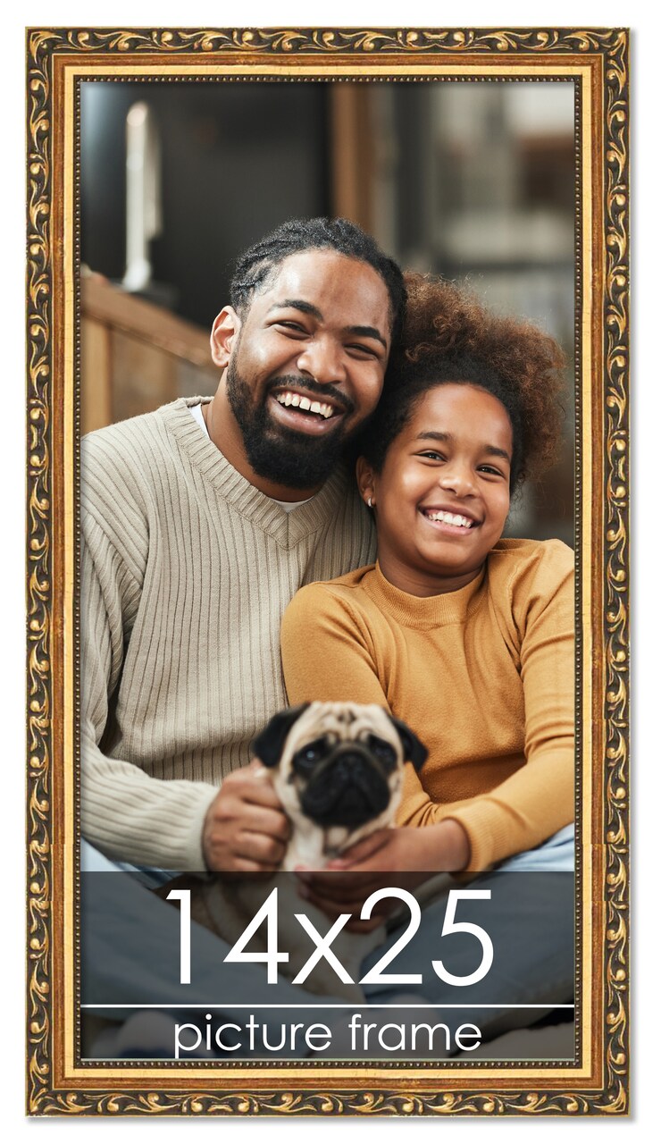 14x25 Museum-Quality Picture Frame with UV-Resistant Acrylic & Acid-Free Backing, Available in 4 Finishes - Gold, Silver, Bronze, and Black